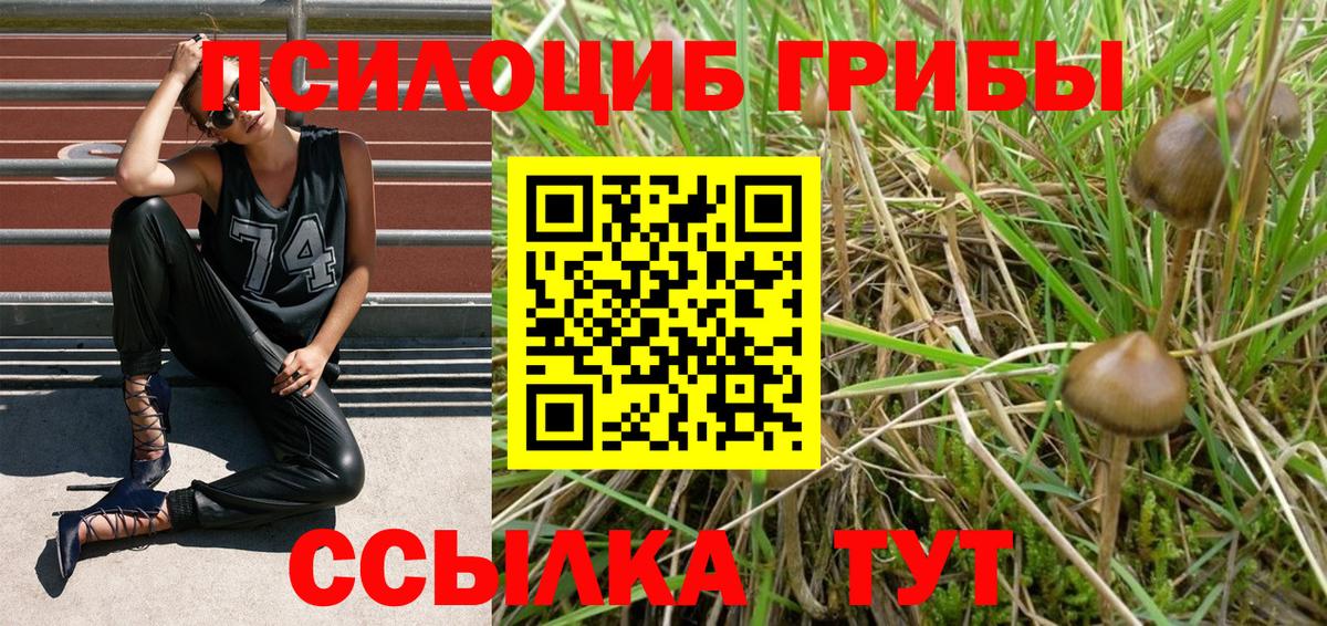 Псилоцибиновые грибы мухоморы Ялуторовск