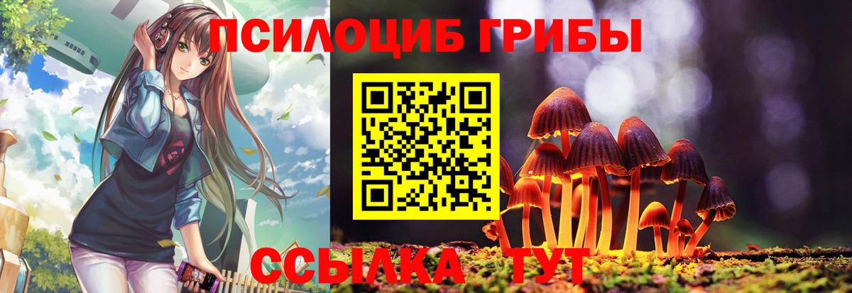 Ялуторовск  Галлюциногенные грибы Cubensis  Вход с VPN 